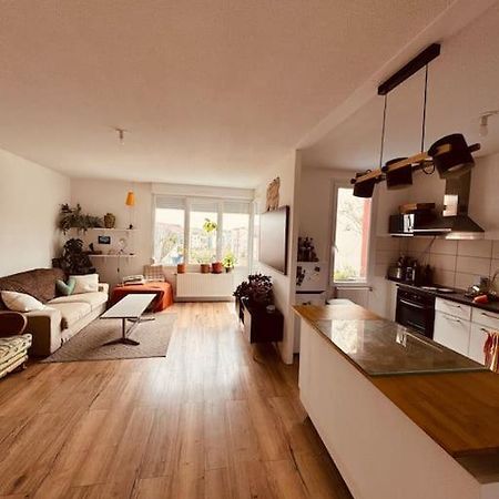 Bel Appartement Proche Mulhouse Pfastatt Kültér fotó