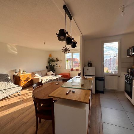 Bel Appartement Proche Mulhouse Pfastatt Kültér fotó