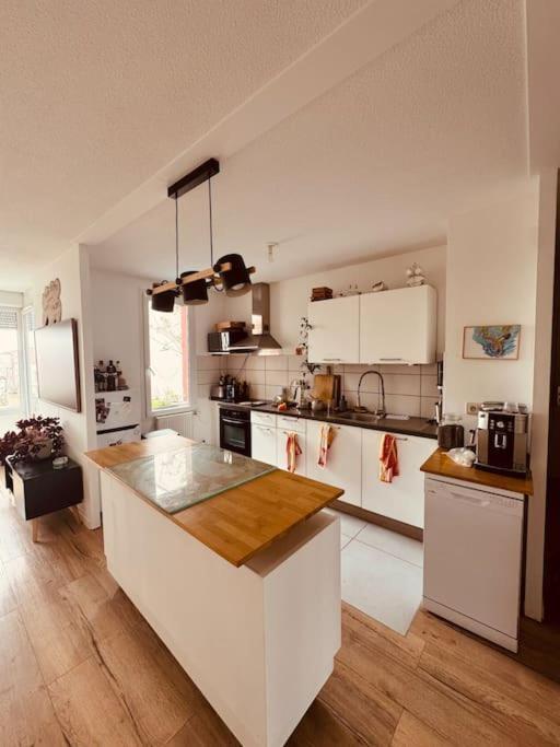 Bel Appartement Proche Mulhouse Pfastatt Kültér fotó