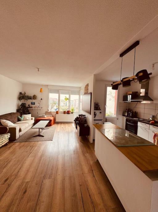 Bel Appartement Proche Mulhouse Pfastatt Kültér fotó